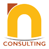 N Consulting